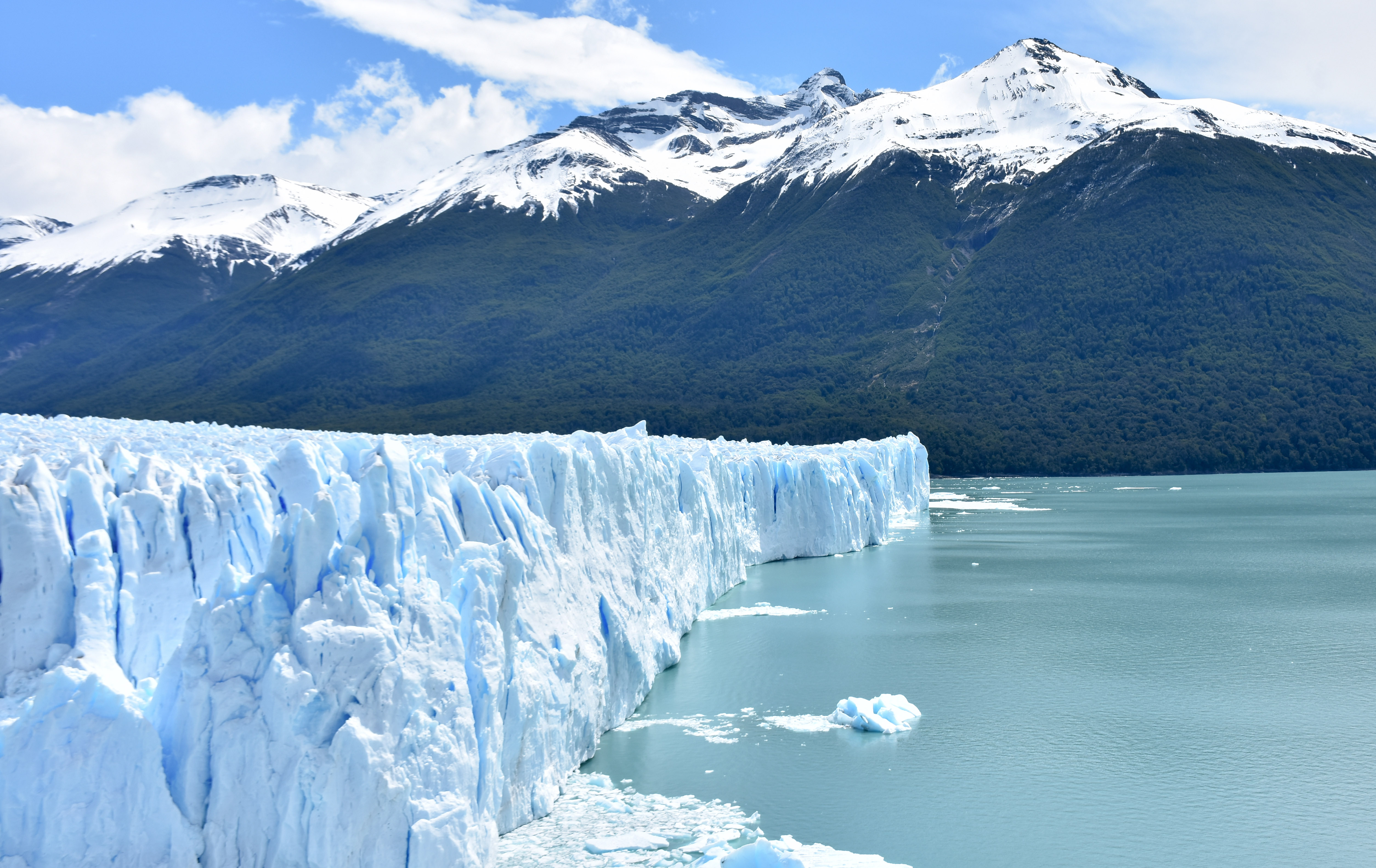 DSC_4393 copia copia