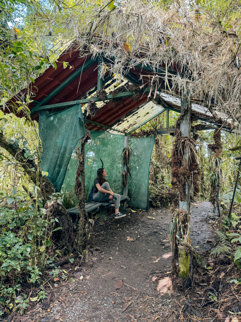 Bosque Nuboso Santa Elena