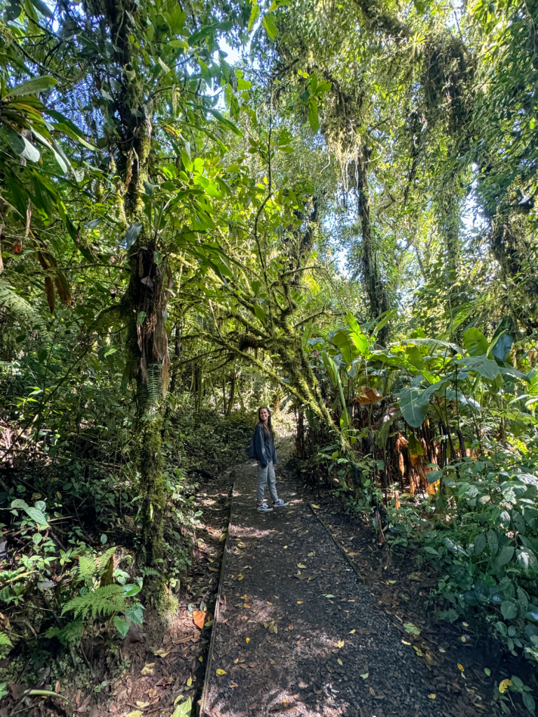 Bosque Nuboso Santa Elena