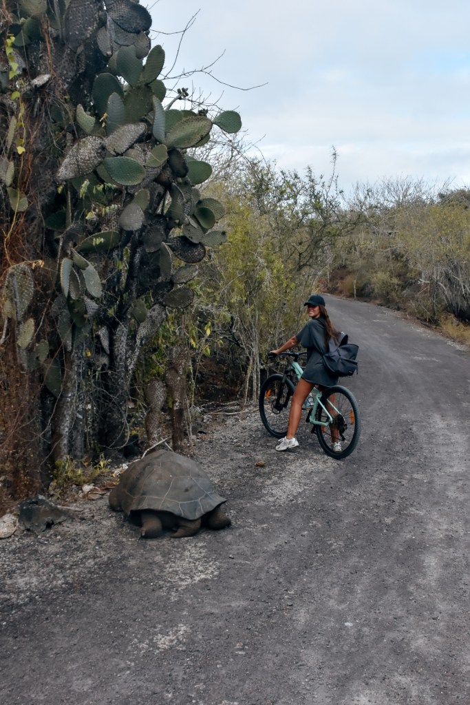 Ruta Muro de las Lágrimas