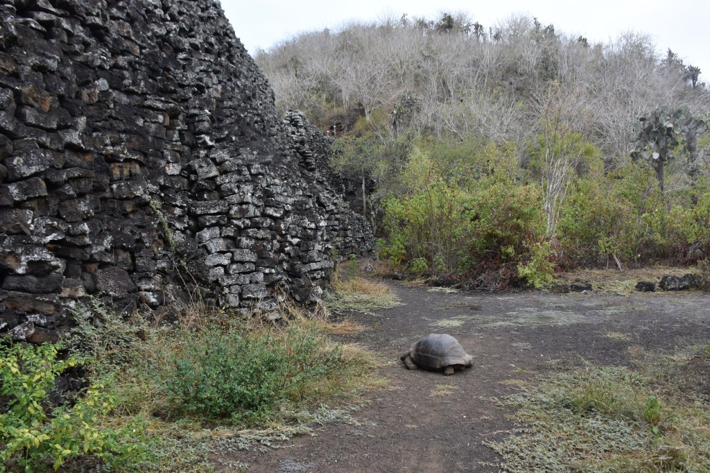 Islas Galápagos