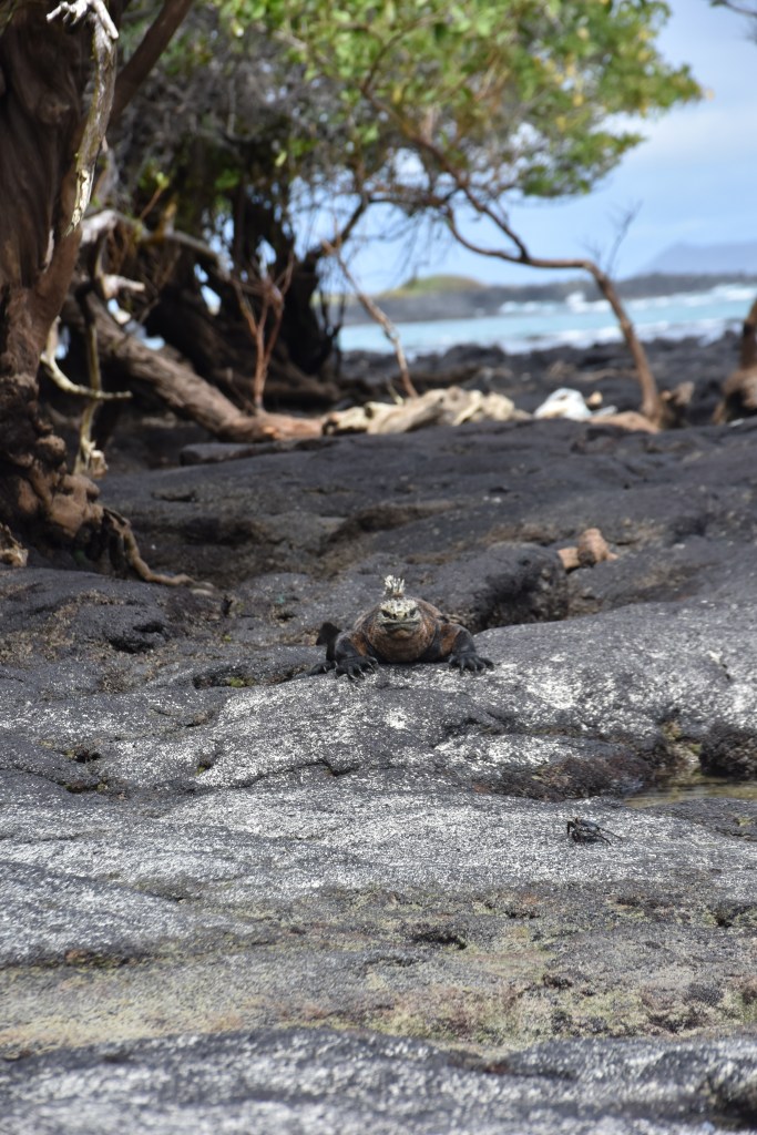 Ruta Muro de las Lágrimas