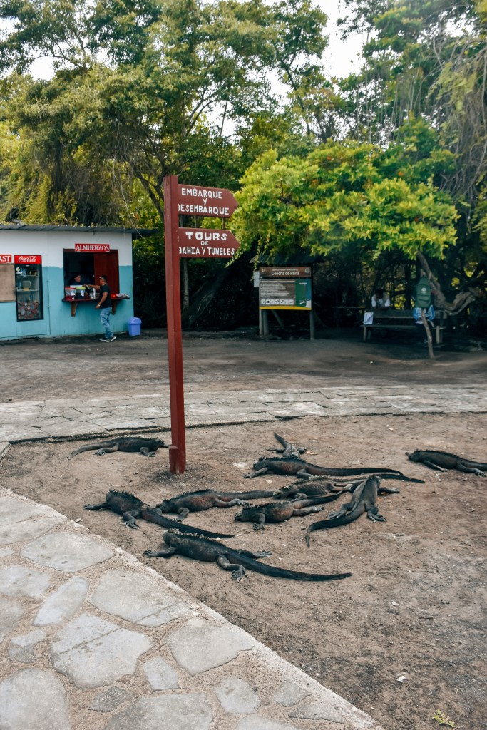 Isabela, Islas Galápagos