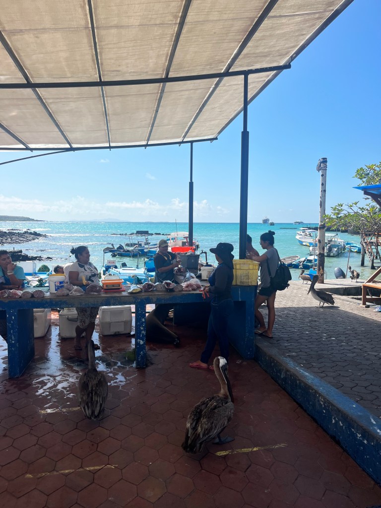 Fish Market Puerto Ayora