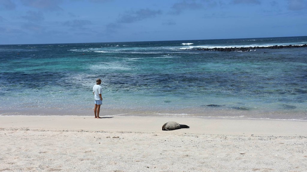 San Cristóbal: cómo llegar y qué hacer en la capital de las Islas&nbsp;Galápagos