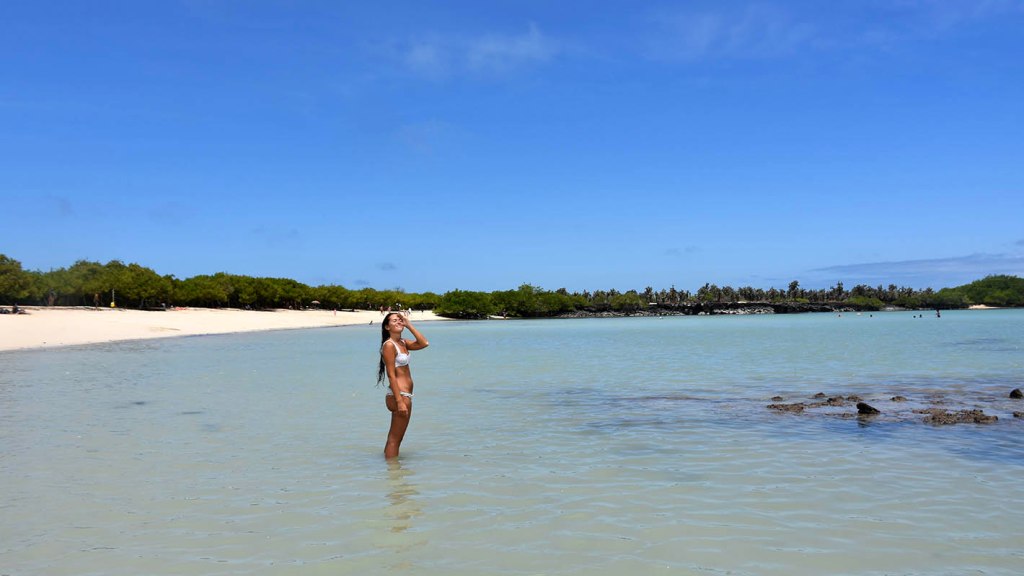 Santa Cruz: cómo llegar y qué excursiones hacer – Islas&nbsp;Galápagos