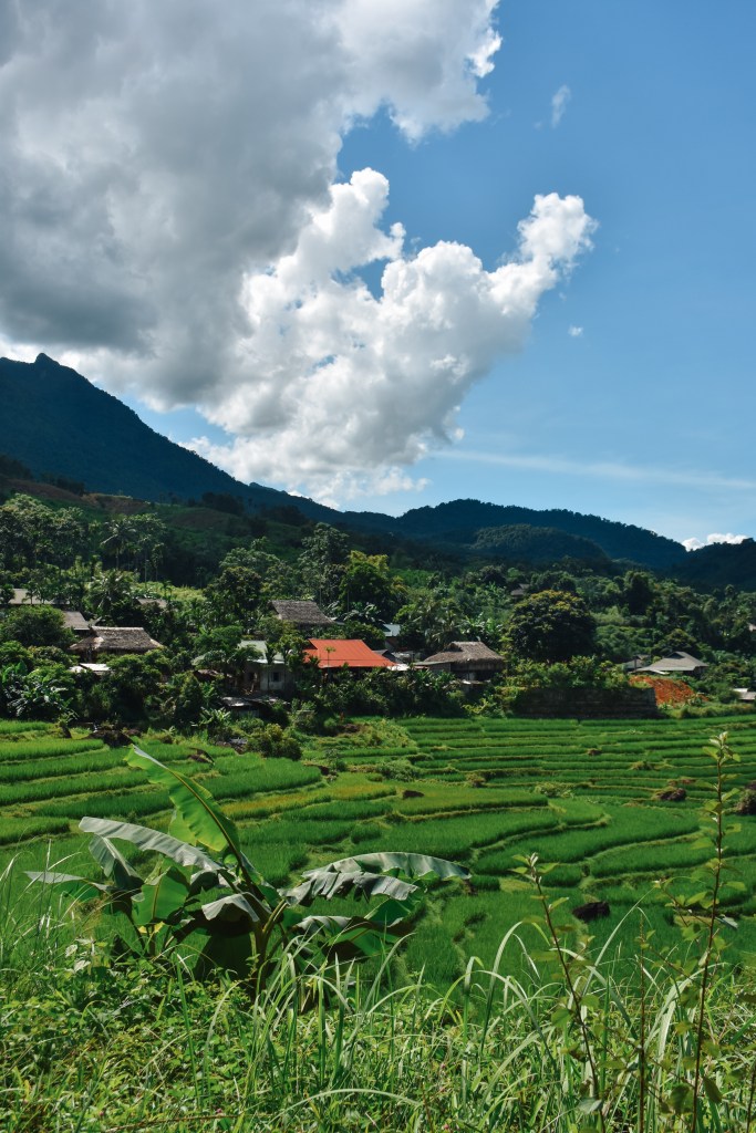 Adelas de etnias locales Puluong