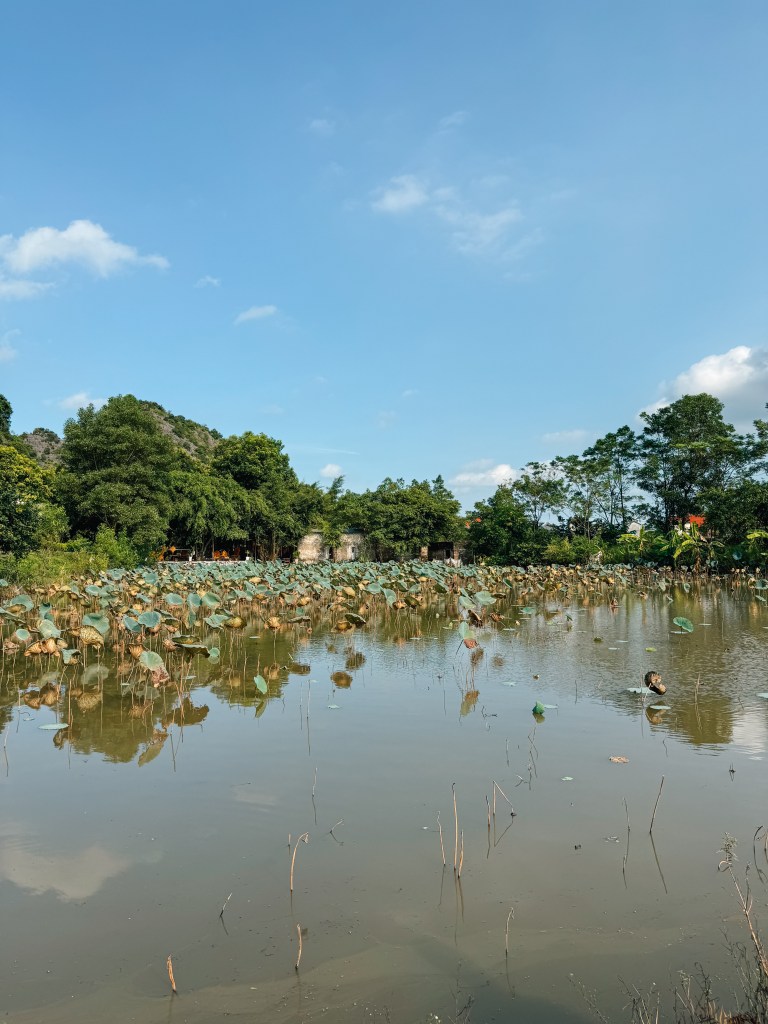 Tam Coc Ninh Binh