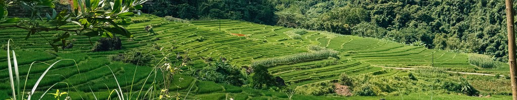 Pu Luong: las terrazas de arroz más escondidas de&nbsp;Vietnam