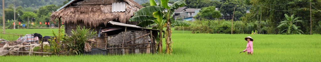 Mai Chau: la alternativa a los arrozales de Sa&nbsp;Pa