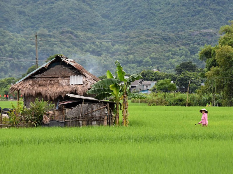Mai Chau: la alternativa a los arrozales de Sa&nbsp;Pa