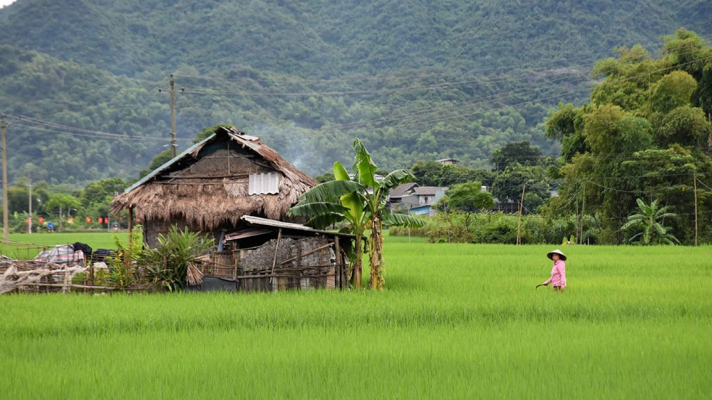 Mai Chau: la alternativa a los arrozales de Sa&nbsp;Pa